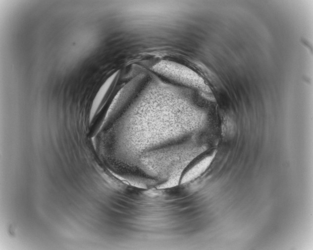 X0000098150477200805081046
