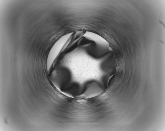 X0000098150478200805081046