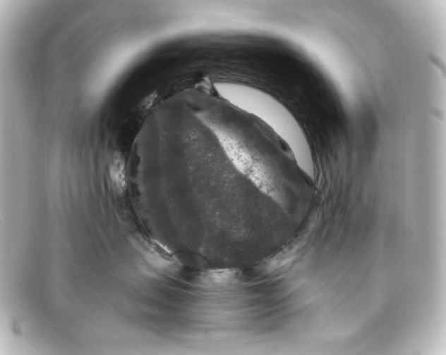 X0000098150479200805081046