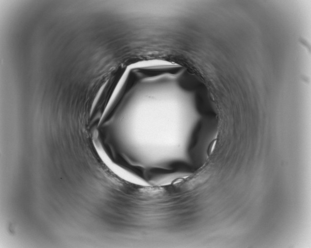 X0000098150480200805081046