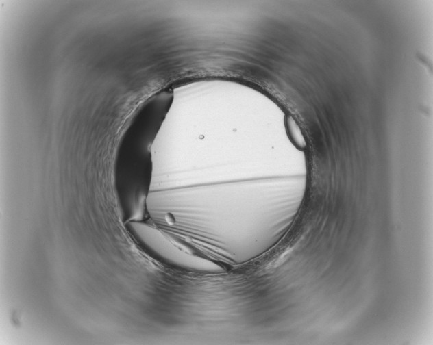 X0000098150481200805081045