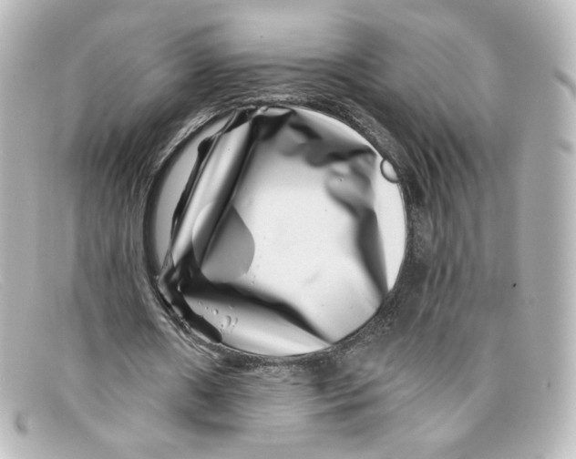 X0000098150482200805081045