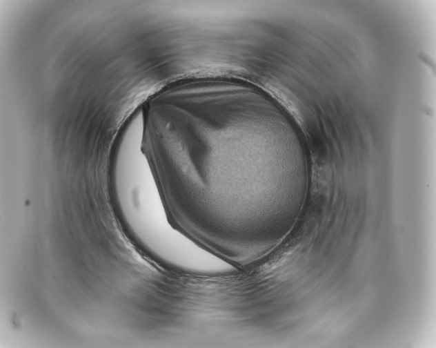 X0000098150485200805081045