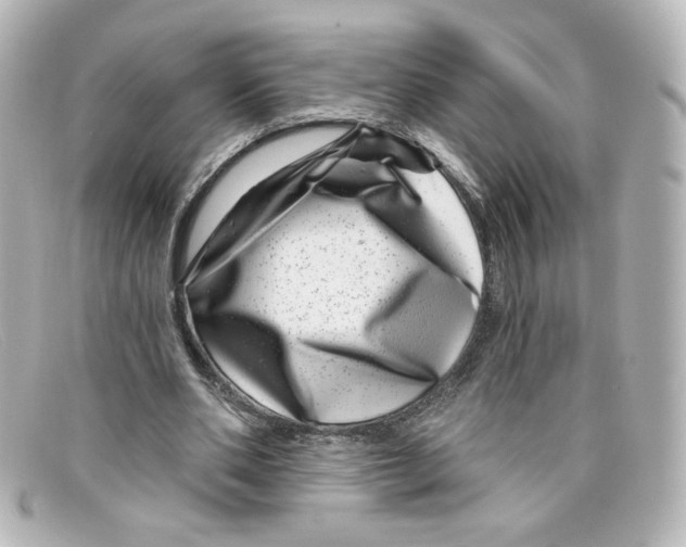 X0000098150486200805081045