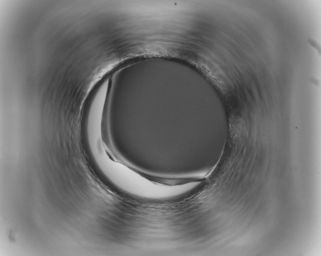 X0000098150488200805081045