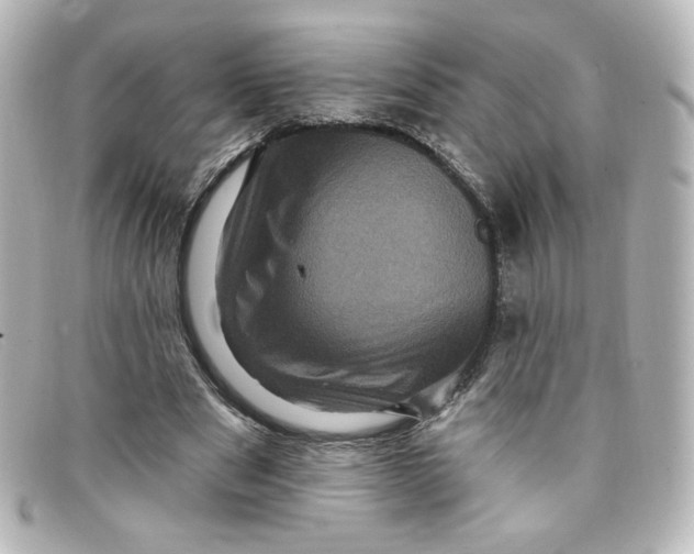 X0000098150489200805081045