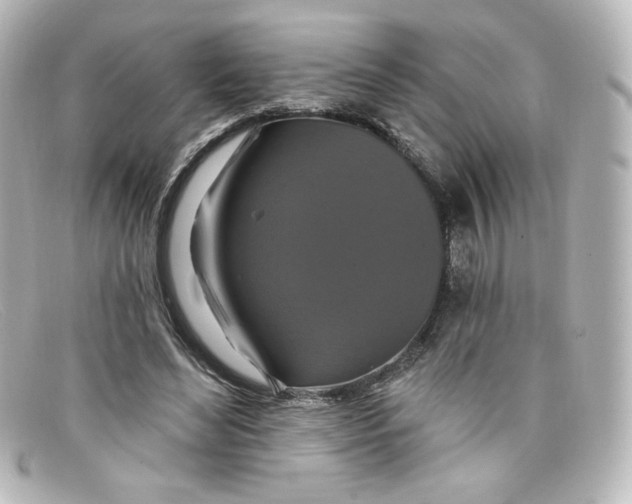 X0000098150492200805081045