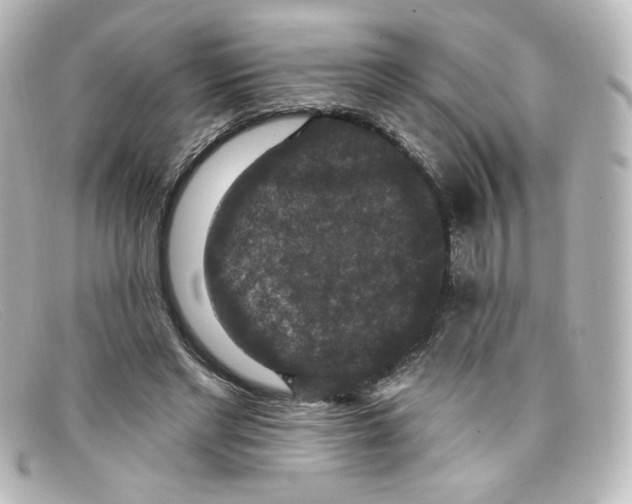 X0000098150493200805081045