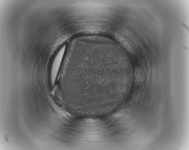X0000098150494200805081045