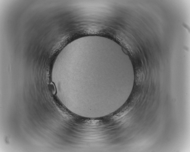 X0000098150497200805081045