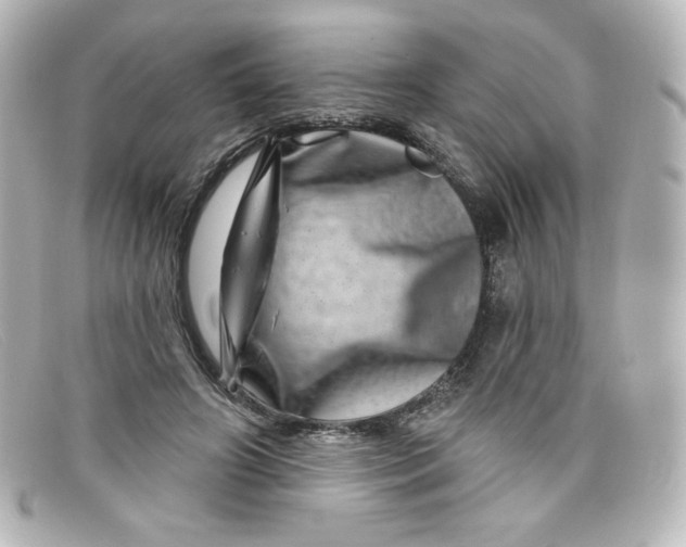 X0000098150498200805081045