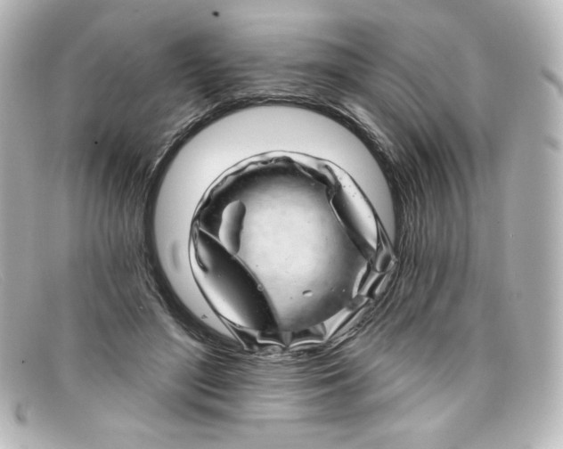 X0000098150500200805081045