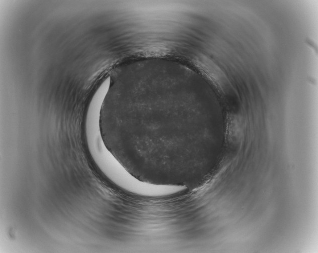X0000098150501200805081045