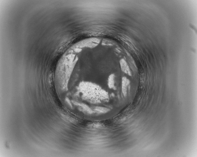 X0000098150503200805081045