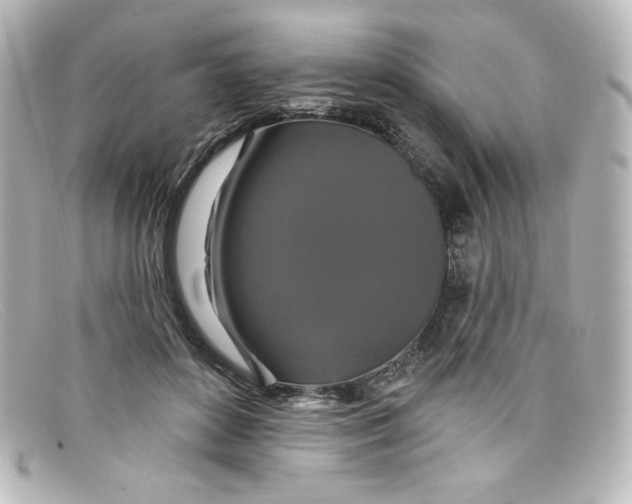 X0000098150504200805081045