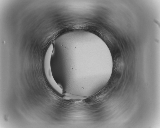 X0000098150505200805081045