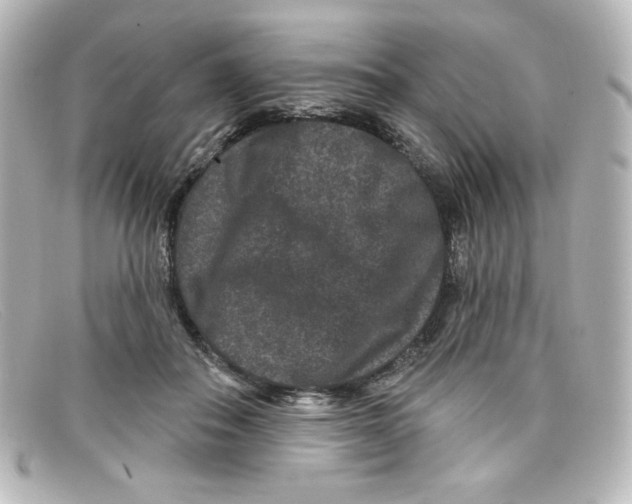 X0000098150506200805081045
