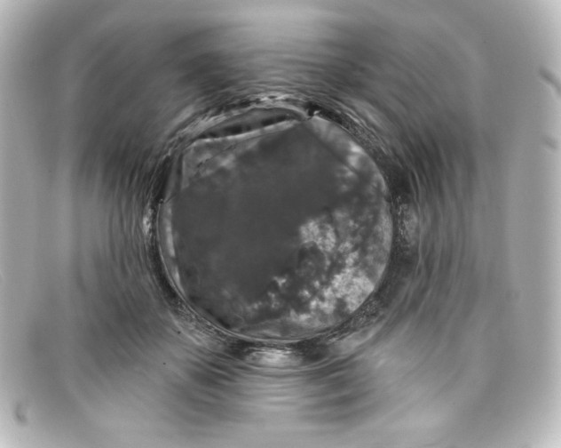 X0000098150507200805081045