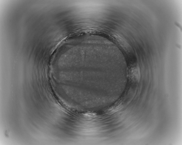 X0000098150508200805081045
