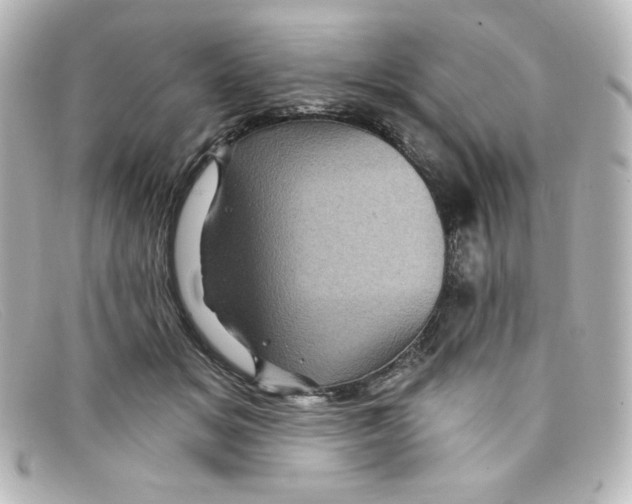 X0000098150509200805081045