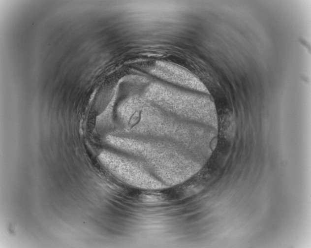X0000098150510200805081045