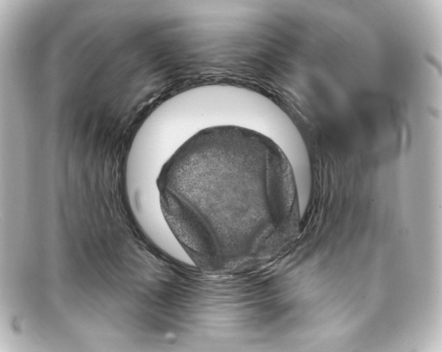 X0000098150511200805081045