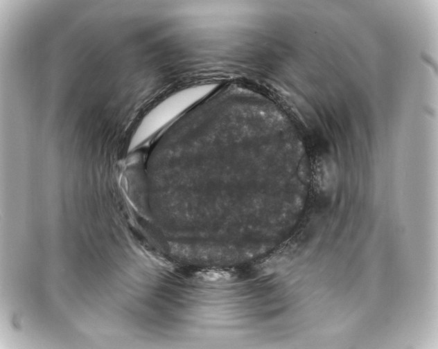 X0000098150512200805081045