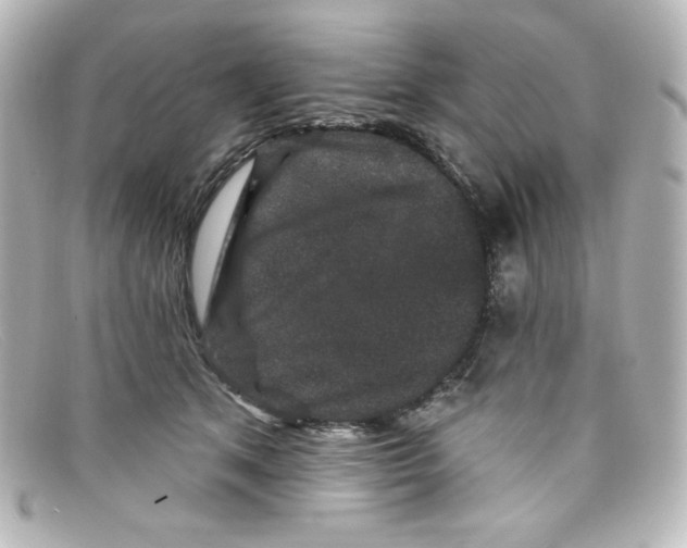 X0000098150513200805081045
