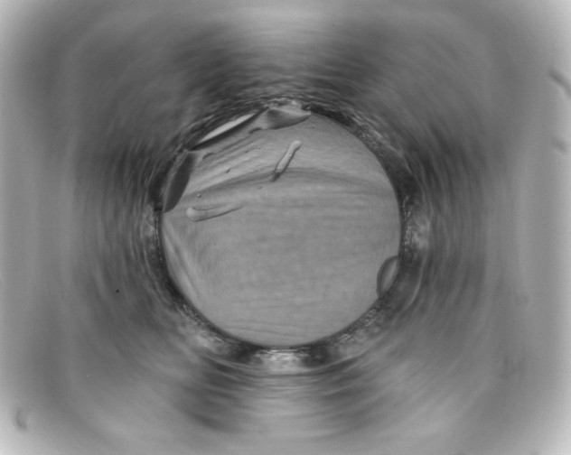 X0000098150518200805081045