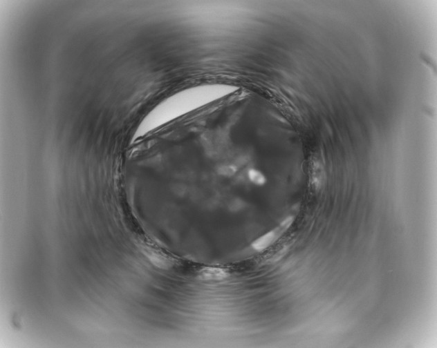 X0000098150519200805081045
