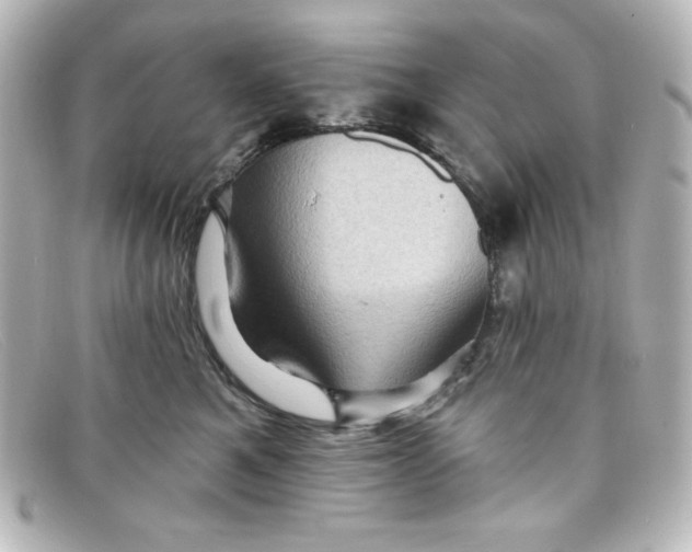 X0000098150521200805081045