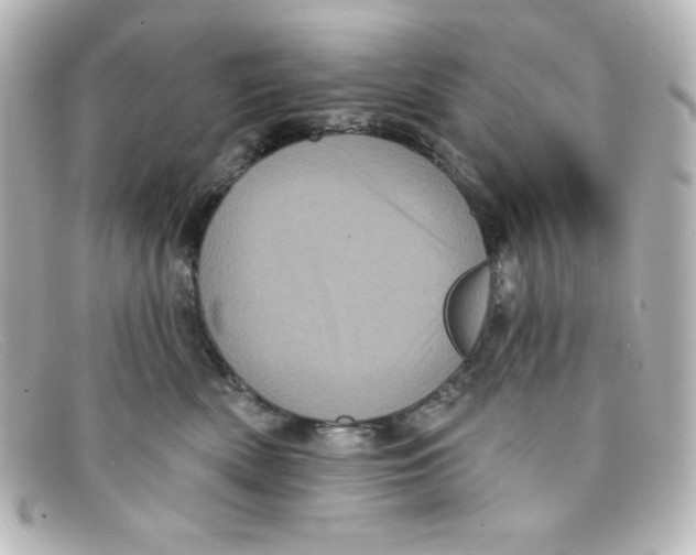 X0000098150522200805081044
