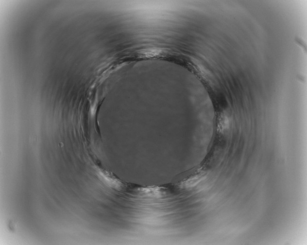 X0000098150524200805081044