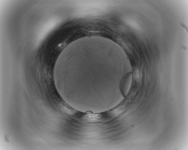 X0000098150526200805081044