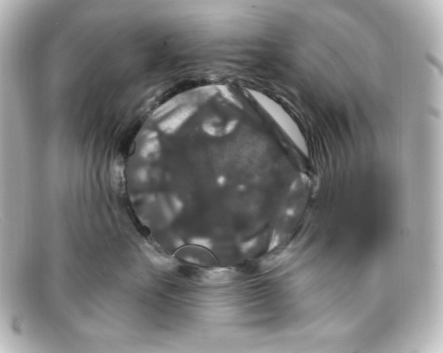 X0000098150527200805081044