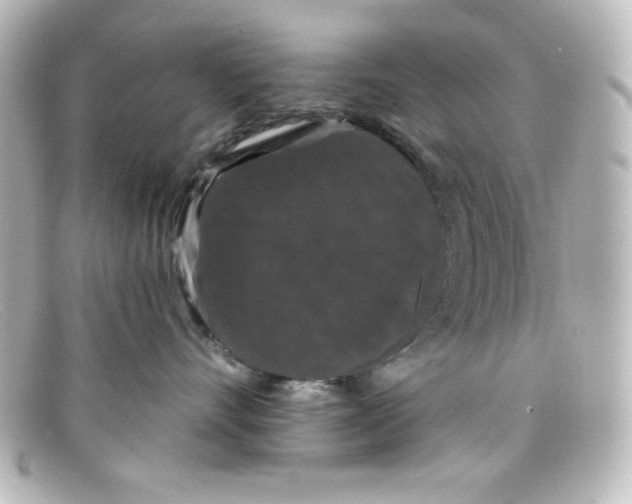 X0000098150528200805081044