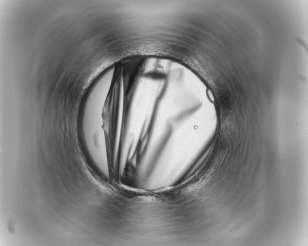 X0000098150530200805081044