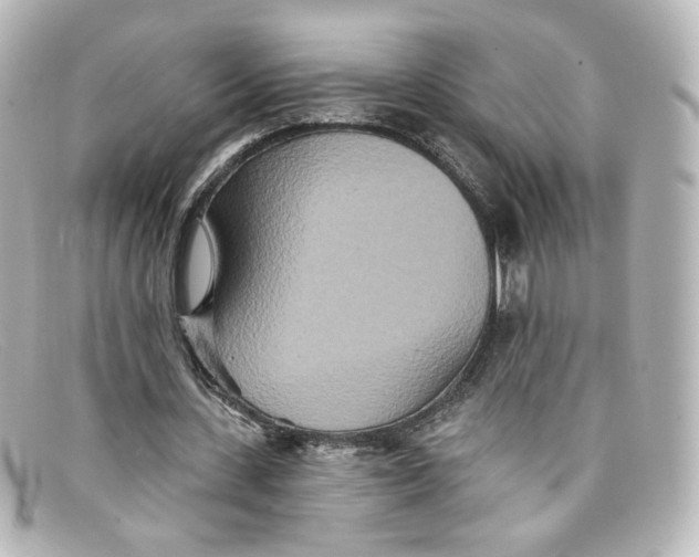 X0000098150531200805081044