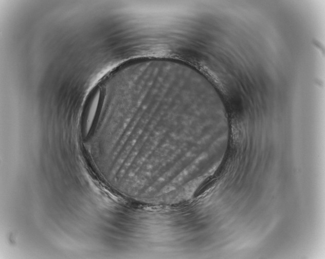 X0000098150532200805081044