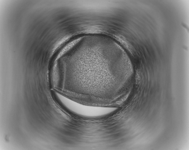 X0000098150535200805081044