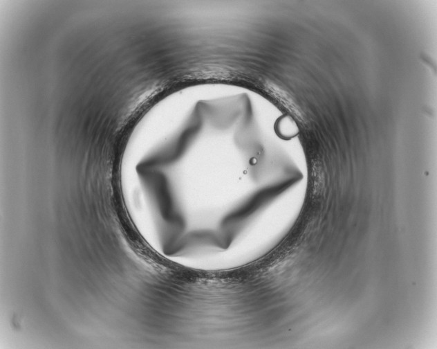 X0000098150538200805081044