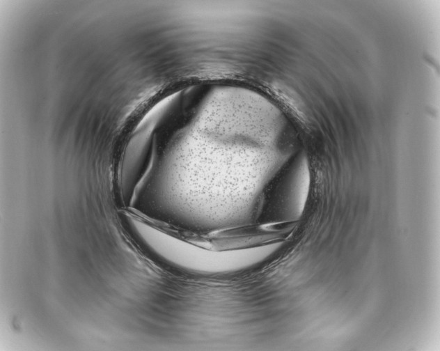 X0000098150539200805081044