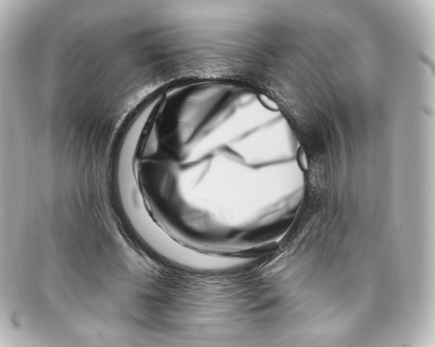 X0000098150540200805081044