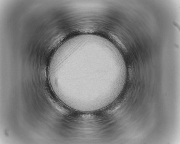 X0000098150541200805081044