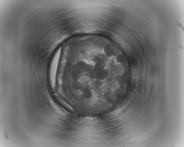 X0000098150542200805081044