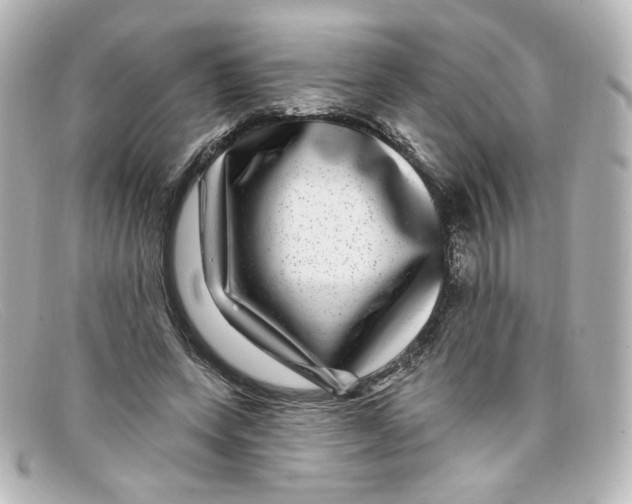 X0000098150543200805081044