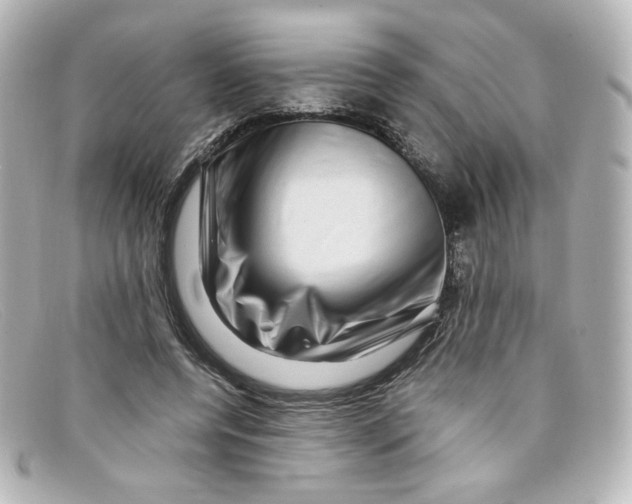 X0000098150544200805081044