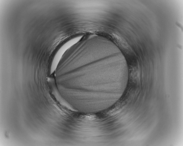 X0000098150548200805081044