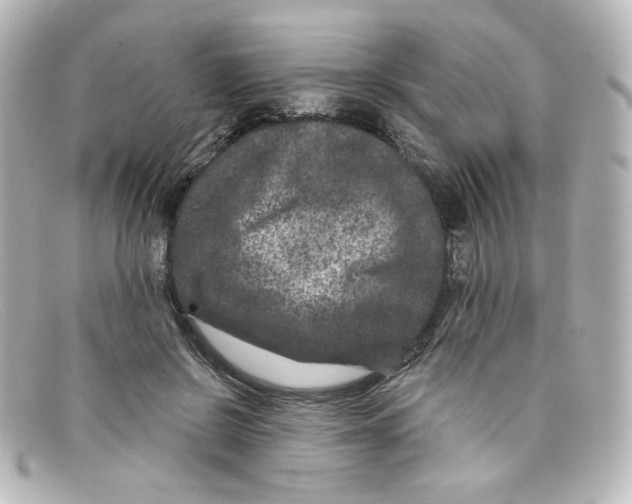 X0000098150550200805081044
