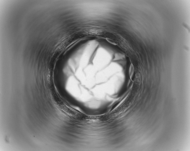 X0000098150552200805081044